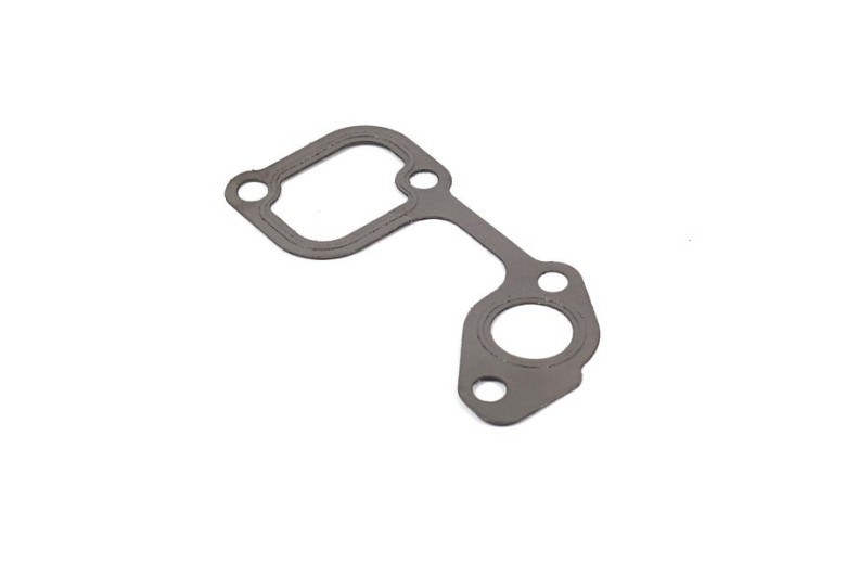 Gasket-Water Pump - 820100 -  Briggs & Stratton - Genuine Spare Parts