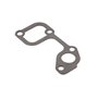 Guarnizione Pompa Acqua - 820100 - Originale Briggs & Stratton
