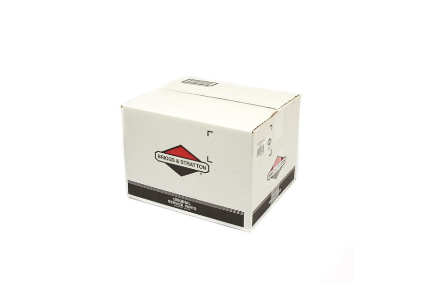Pump - 207365GS -  Briggs & Stratton - Genuine Spare Parts