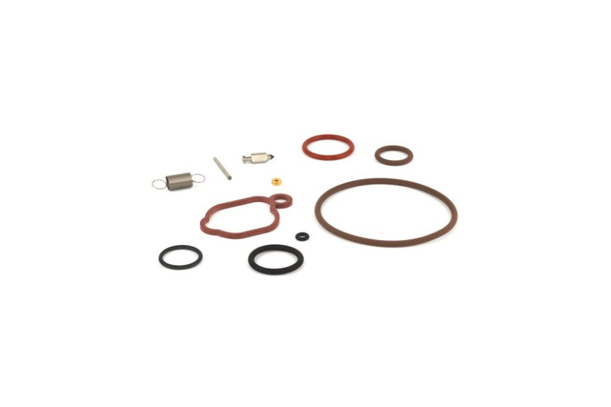 Kit Manutenzione Carburatore - 594636 - Originale Briggs & Stratton
