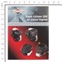 Manuale Riparazione Intek - 276781 - Originale Briggs & Stratton - sostituisce - 274008