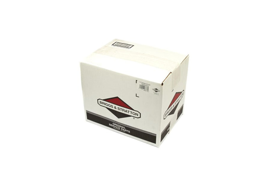 Trasmissione Completa Gt - Originale Snapper - 1733972YP