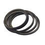 V-Belt  Secon 61 - Originale Snapper - 7029268YP