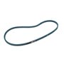 Cinghia Trazione - Originale Snapper - 7100913YP