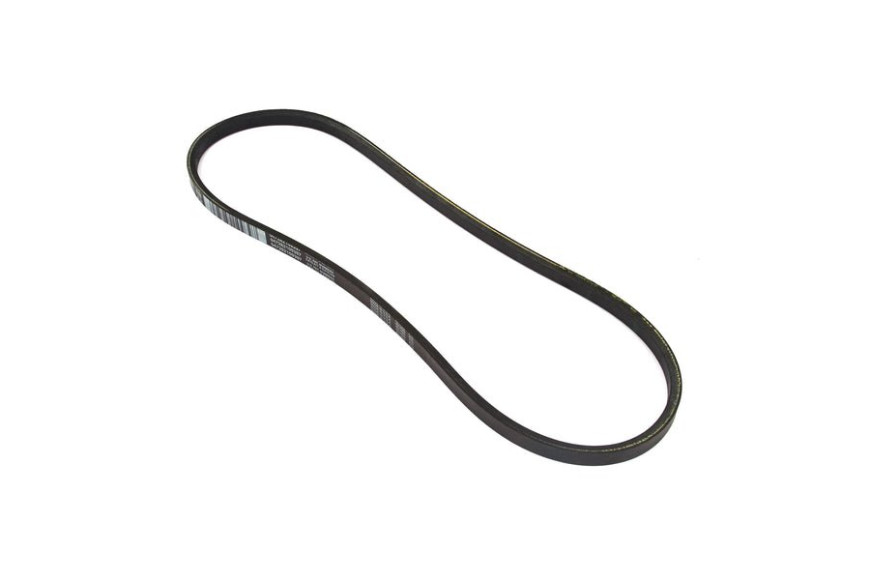 Cinghia - Originale Snapper - 761788MA
