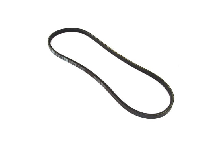 Cinghia - Originale Snapper - 761788MA
