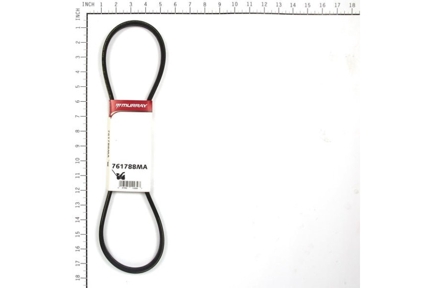 Cinghia - Originale Snapper - 761788MA