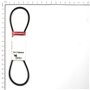 Cinghia - Originale Snapper - 761788MA