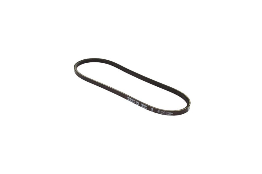 Belt - Originale Snapper - 585437MA