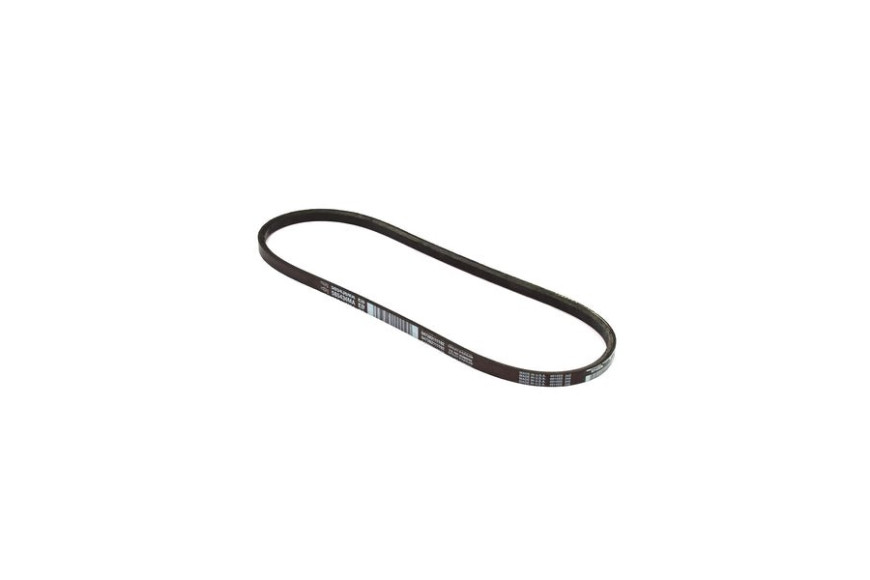 Belt - Originale Snapper - 585436MA