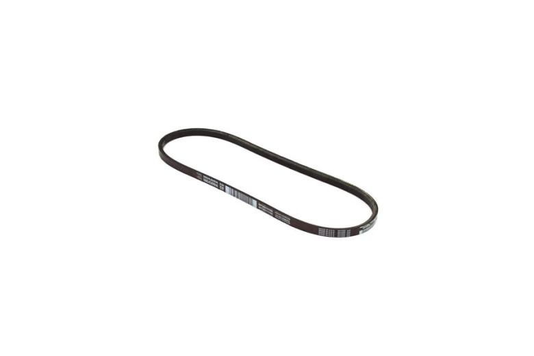 Belt - Originale Snapper - 585436MA