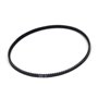 Cinghia Trazione 3L 31.00 - Originale Snapper - 1672732SM