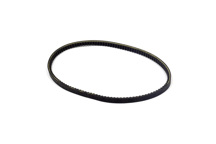 Cinghia Dentata - Originale Snapper - 7012353YP