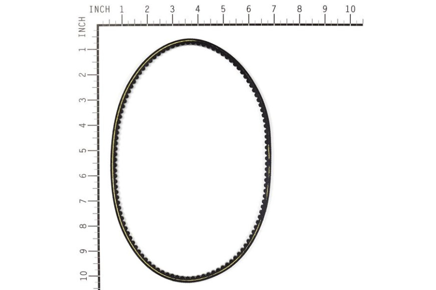Cinghia Dentata - Originale Snapper - 7012353YP