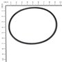 Cinghia - Originale Snapper - 7012508YP