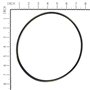 Cinghia Rigata - Originale Snapper - 7012354YP