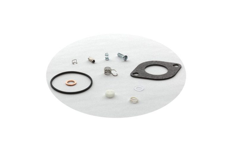 Kit-Carburetor Overha - 594886 -  Briggs & Stratton - Genuine Spare Parts