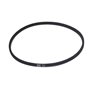 Cinghia 37.00 Ha - Originale Snapper - 1674312SM