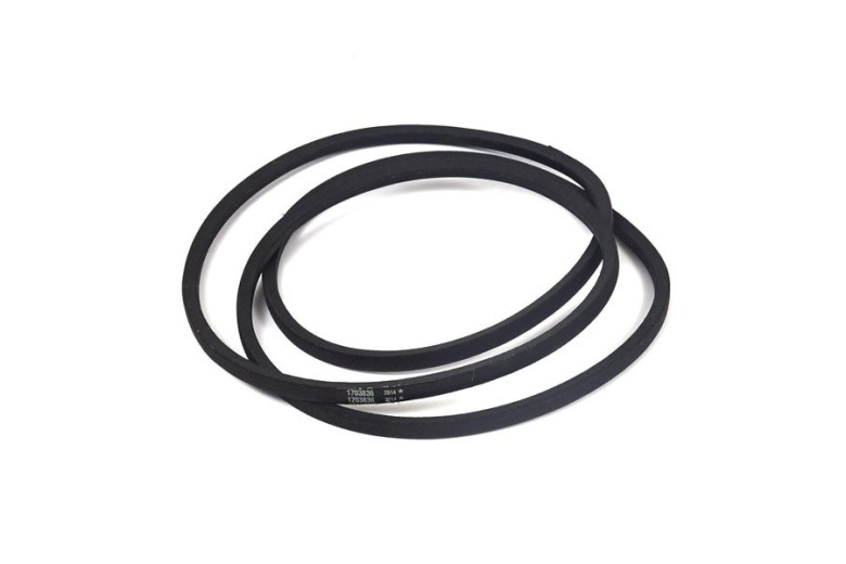 Cinghia Piatto 50'' - Originale Snapper - 1703836SM
