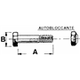 Bolts For Shredder Branch-Rams In 10.9 Thread M20X1,5 Length - A 130 Mm - Ref. 57225