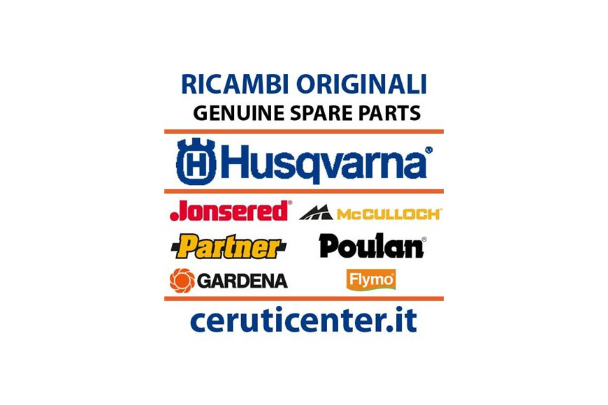 Molla - 598819902