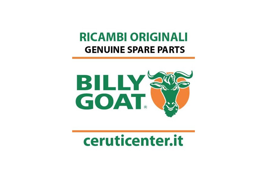 Spring, Comp, Front 44 - 5106818 - Originale Billy Goat