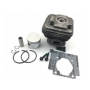 Complete Cylinder - Original Emak - 61350209C
