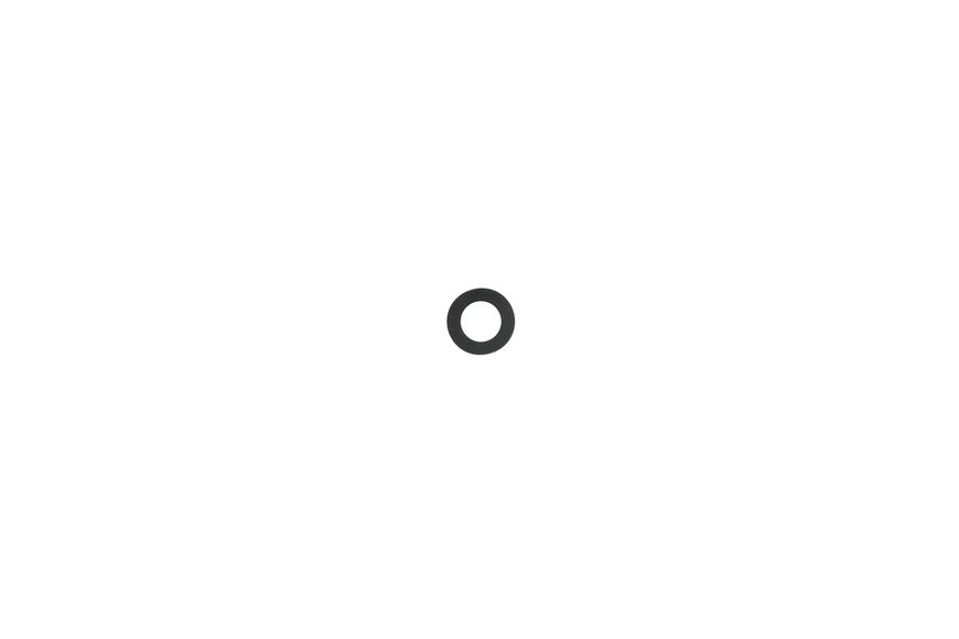 Washer-Spring - Originale Toro - 110-8982