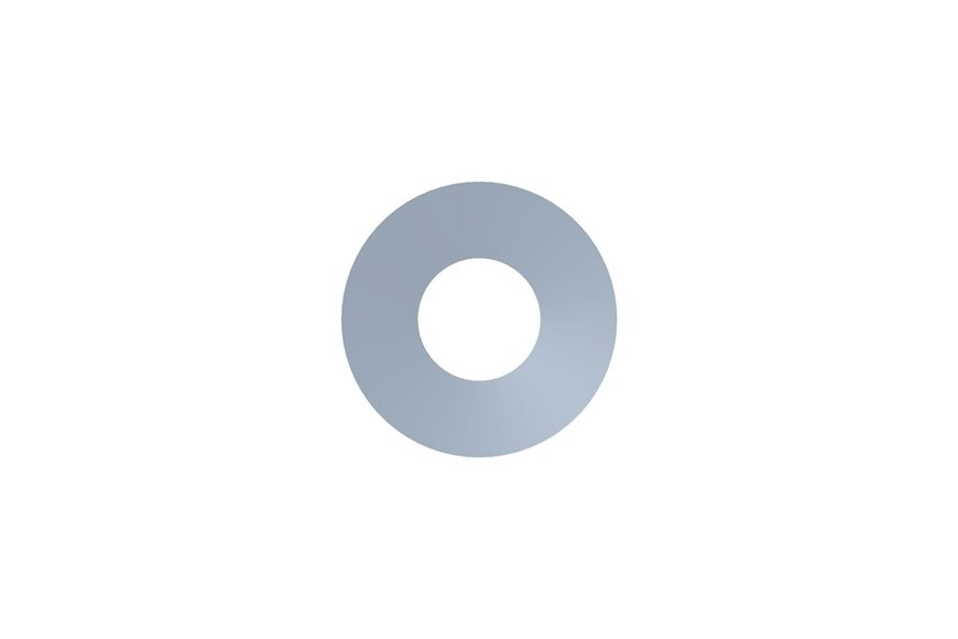 Washer-Belleville - Originale Toro - 98-5975