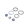 Seal Kit - Originale Toro - 107-0245