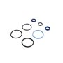 Seal Kit - Originale Toro - 107-0245