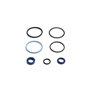 Seal Kit - Originale Toro - 107-0245
