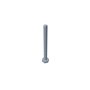Screw-Hh - Originale Toro - 110-7161
