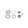 Seal Kit - Originale Toro - 110-6460