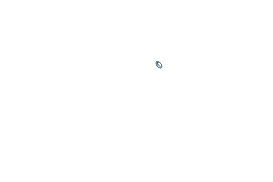 Seat-Spring, Valve - Originale Toro - 120-4303