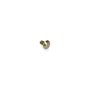 Screw-Carr - Originale Toro - 3231-21