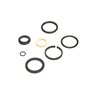 Seal Kit - Originale Toro - 125-4300