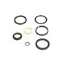 Seal Kit - Originale Toro - 125-4300