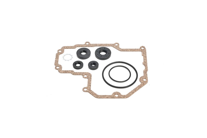 Seal Kit - Originale Toro - 125-9176