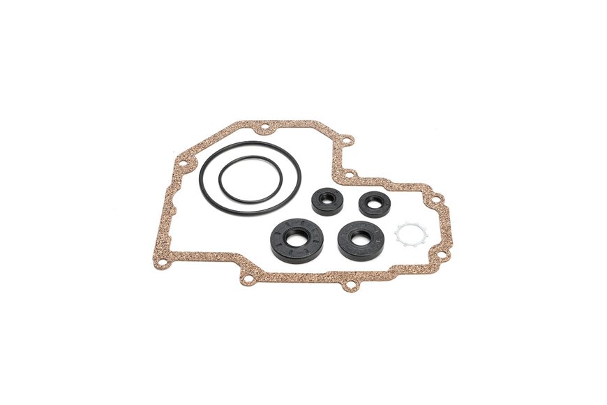 Seal Kit - Originale Toro - 125-9176