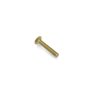 Screw-Carr - Originale Toro - 3231-33