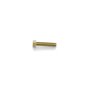 Screw-Hh - Originale Toro - 323-53