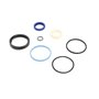 Seal Kit - Originale Toro - 107-0249