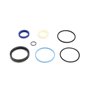 Seal Kit - Originale Toro - 107-0249