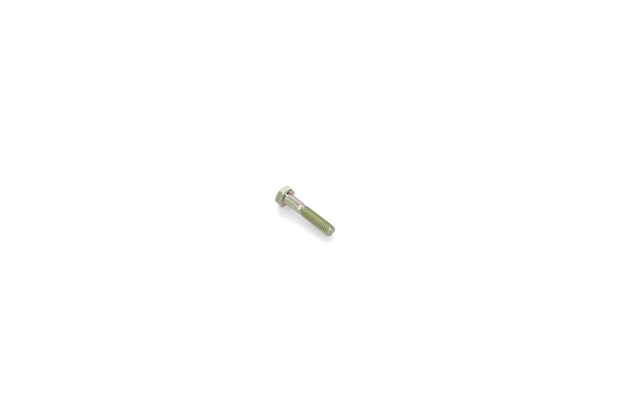Screw-Hh - Originale Toro - 33113-030
