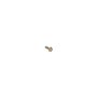 Screw-Shwh - Originale Toro - 32105-2