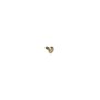 Screw-Carr - Originale Toro - 3229-11