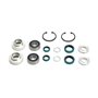 Roller Kit - Originale Toro - 106-9606