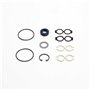 Seal Kit - Originale Toro - 112-9184