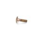 Screw-Carr - Originale Toro - 33126-045